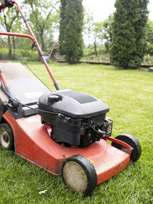 low-section-person-with-umbrella-field-min